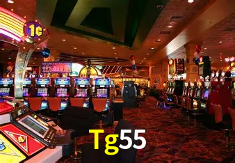 Flash Promotion Tg55